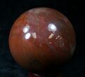 Colorful Petrified Wood Sphere #20615-2